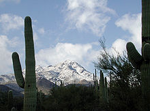 Wasson Peak in the Tucson Mountains