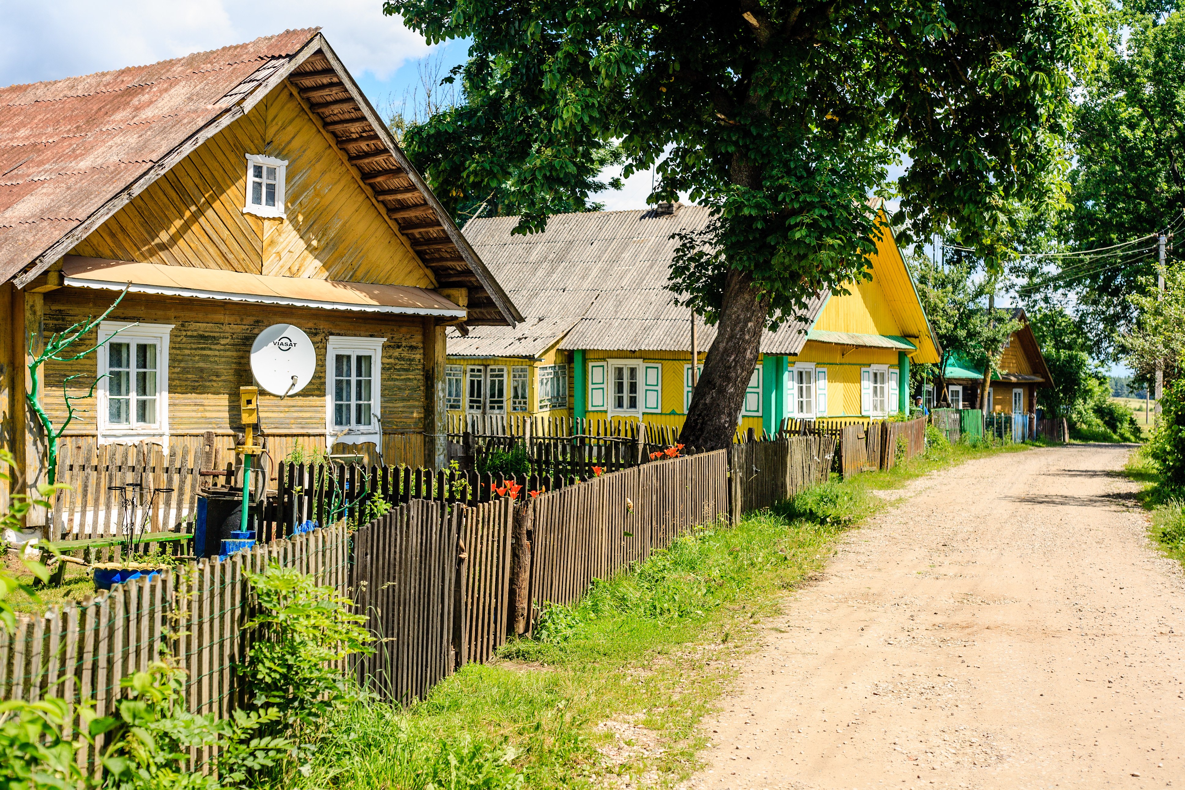 Улица 6 село. Литва деревни поселения. Литва деревня рякучай. Современная деревня. Деревенская улица с домами.