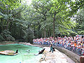 Robbenfütterung im Zoo Dortmund
