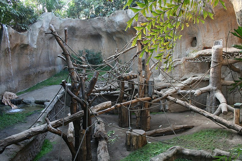 File:Zoo Leipzig Pongoland.jpg