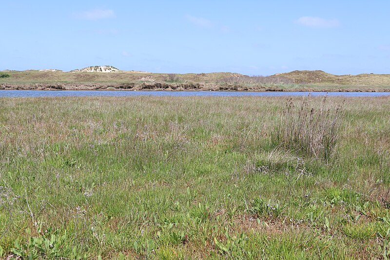 File:Zwin Natuur Park 61.jpg