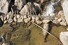 Vietnamese traditional fish trap Dat do.jpg