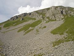 Глетка на сипар (камењар) под врвот Стрижак