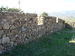 Ѕидини од Виничкото Кале