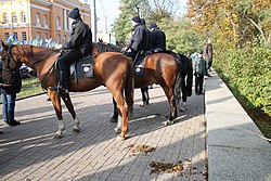 Поліцаї на конях лишають нечистоти