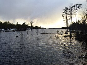 Sjöar nära motorvägen "Kola" (källan till Kuzema).