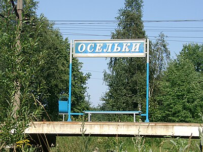 Пери ленинградская область. Осельки (платформа). Осельки ЖД станция. Станция Осельки Ленинградская область. Станция Пери Ленинградской области.