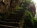张家界国家森林公园-绝壁 - panoramio.jpg