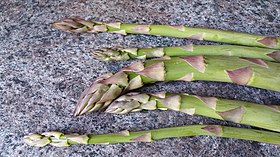 -365 first asparagus (26252293641).jpg