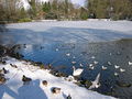 Winterlicher See im Rombergpark