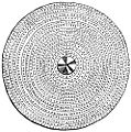 0067-Circular-British-Shield-q75-496x500.jpg