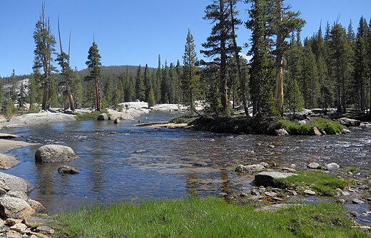 De Tuolumne stroomt door de draslanden van de Tuolumne Meadows in Yosemite.