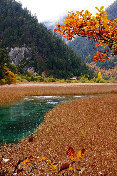 File:1 jiuzhaigou valley reed lake 2011.JPG