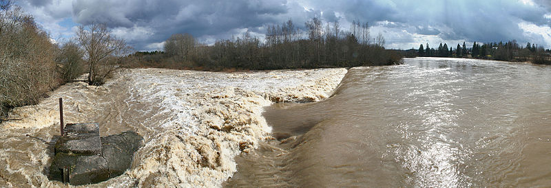 Loimijoki tulvii Huittisten Mommolankoskessa vuonna 2008