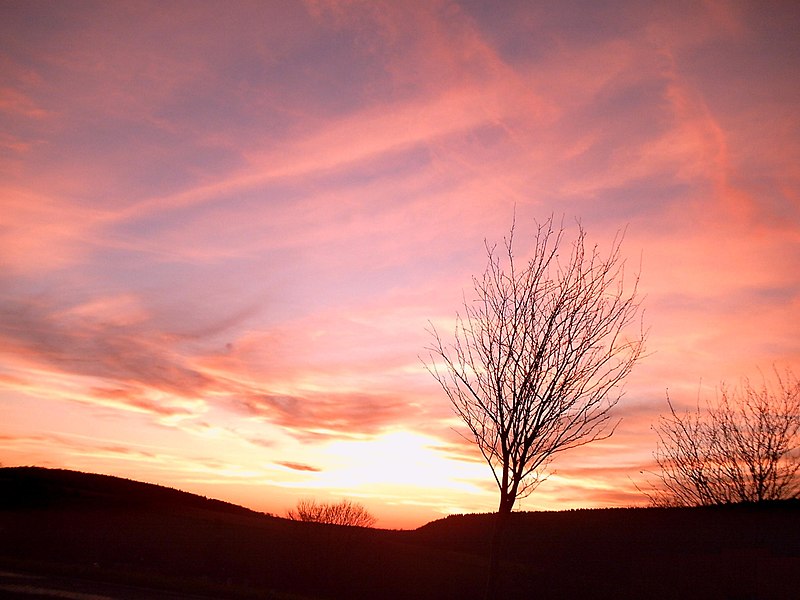 File:2009-11-19-Altenbeken-Sonnenuntergang-2.JPG