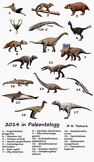 2014 in paleontology Overview of the events of 2014 in paleontology