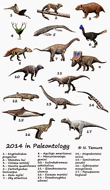 Species described in 2014 2014 in paleontology NT.jpg