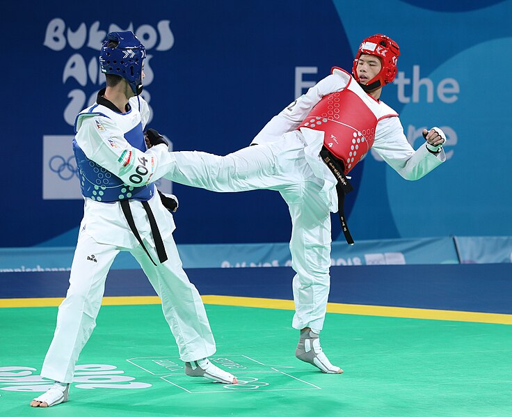 File:2018-10-11 Final (Taekwondo Boys +73kg) at 2018 Summer Youth Olympics by Sandro Halank–037.jpg