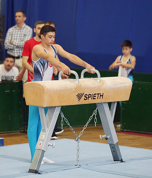 File:2019-05-25 Budapest Cup age group III all-around competition pommel horse (Martin Rulsch) 003.jpg