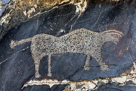 37. Sarmishsay rock paintings, Navbahor District author - Relisa Granovskaya