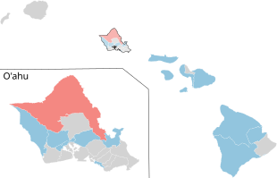 2024 Hawaii State Senate Election Results with holds and gains.svg