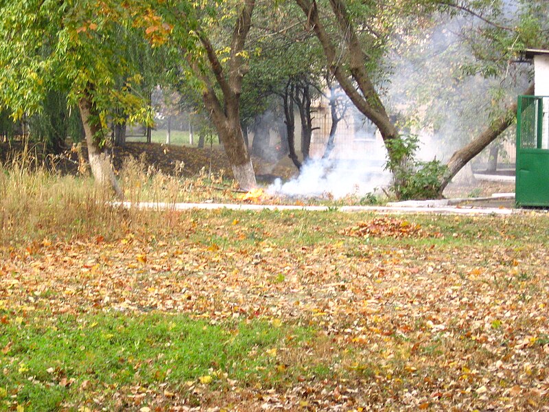 File:33 Спалювання листя у Києві в студмістечку КНУ.jpg