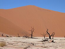 Dune Nine in Sossusvlei, Namibia, is over 300m high. 350m Dune Deadvlei Sossusvlei.JPG