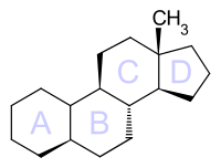 5α-Estrane.svg