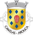 Vlag van Canelas