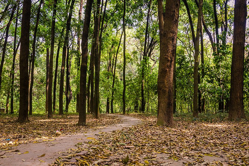 File:A part of the "National Botanical Garden" of Bangladesh.jpg