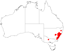 Acacia parvipinnulaDistMap675.png