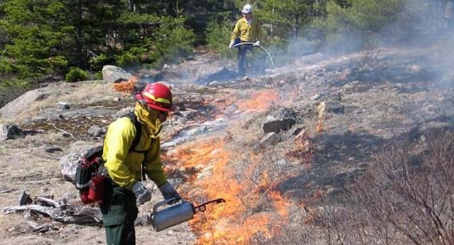 File:Acadia_National_Park,_firefighters_at_a_prescribed_burn.jpg