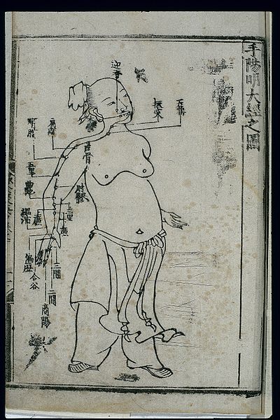 File:Acupuncture chart, large intestine channel of hand yangming Wellcome L0037810.jpg