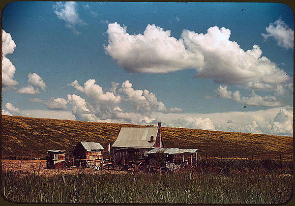 Residence of African-American tenant farmer beside the Mississippi River levee near Lake Providence (June 1940)