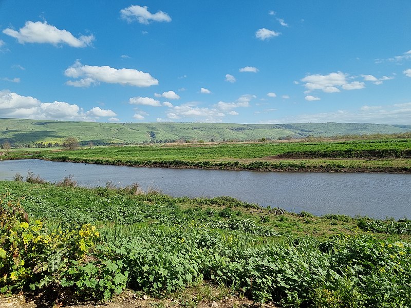 File:Agamon HaHula – Hula Valley.jpg