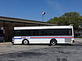 Albany Transit Bus