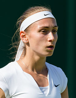 Aleksandra Krunic makalesinin açıklayıcı görüntüsü