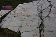 English: Rock art in the world heritage area in Alta, Norway. This is from the area Bergbukten 4b, a group of 195 figures. 22-24 m above sea level, and 6000-7000 years old.