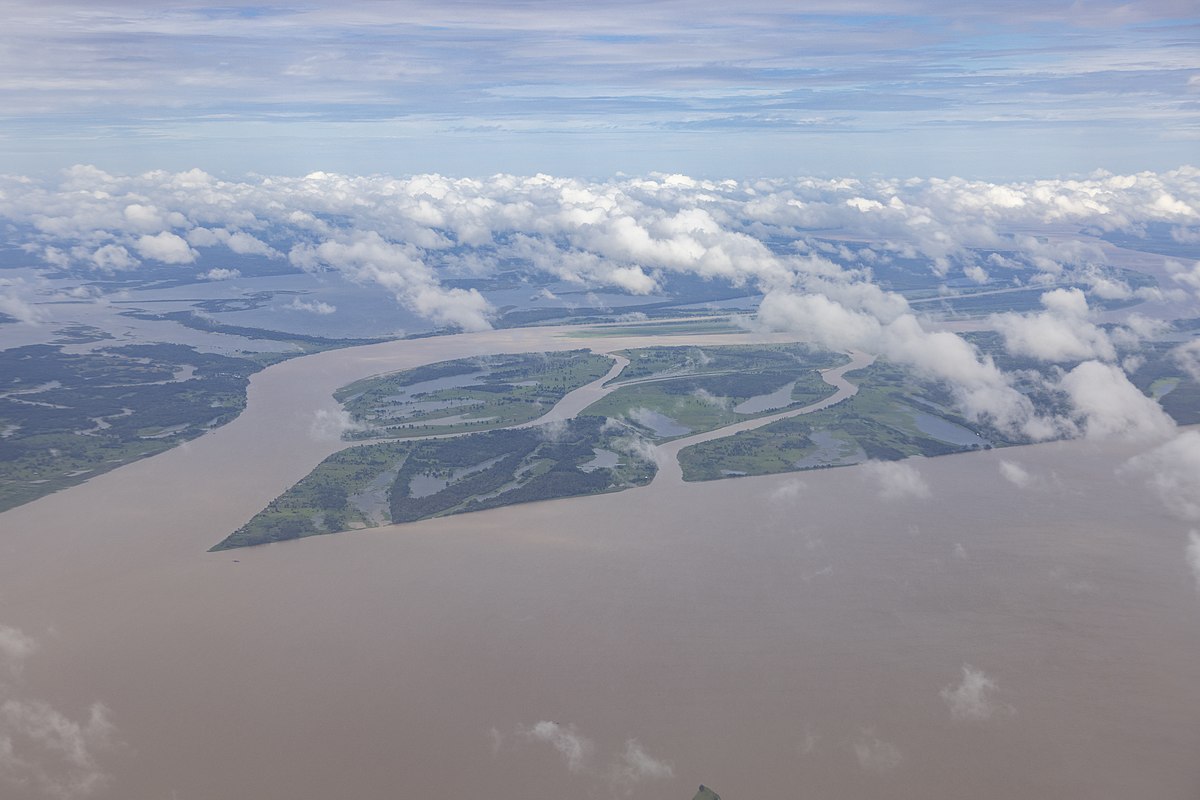 Amazonská nížina – Wikipedie