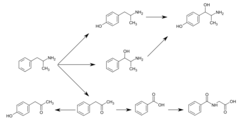 Phenylacetones Wikivisually