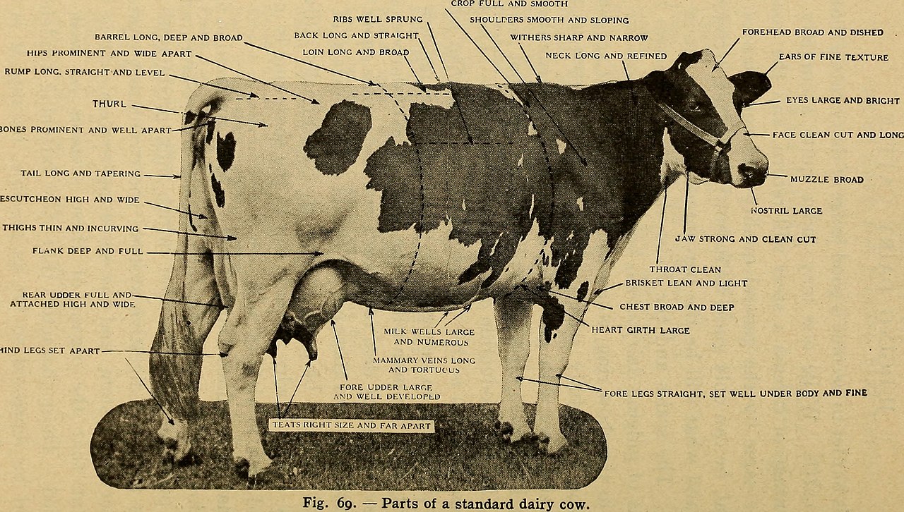 File:Animal husbandry (1920) (18008522838).jpg - Wikimedia Commons
