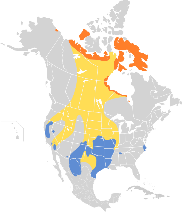 Mapa występowania