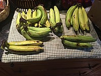 Bunches of Gros Michel bananas on a table
