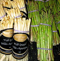 asparagus (Asparagus officinalis)