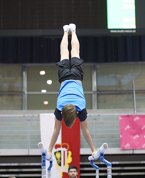 File:Austrian Future Cup 2018-11-23 Training Afternoon Parallel bars (Martin Rulsch) 0348.jpg