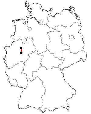 Course of the B 63