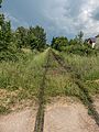 * Nomination Railway track at the level crossing in Wingersdorf --Ermell 22:12, 7 June 2016 (UTC) * Promotion Good quality -- Spurzem 22:46, 7 June 2016 (UTC)