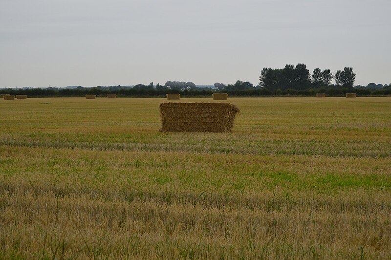 File:Bale in field - geograph.org.uk - 5972099.jpg