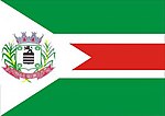 Bandeira da Cidade de Diogo de Vasconcelos.jpg