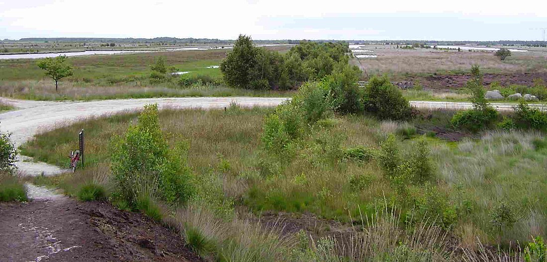 Internationaler Naturpark Bourtanger Moor-Bargerveen